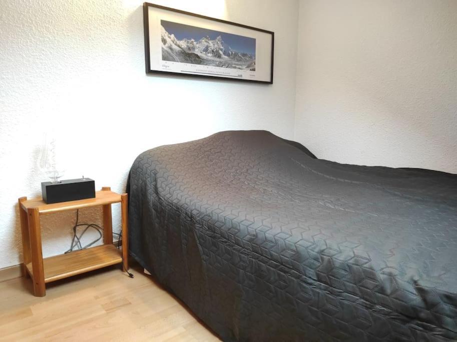 Appartement Vue Montagne, Cosy Et Chaleureux 布里昂松 外观 照片