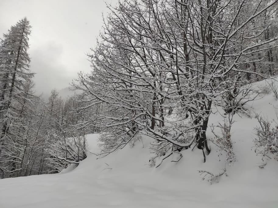 Appartement Vue Montagne, Cosy Et Chaleureux 布里昂松 外观 照片