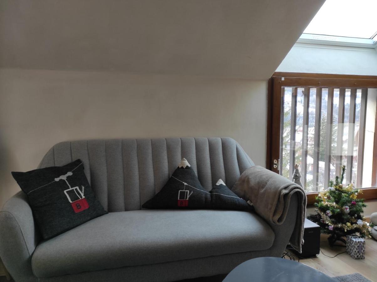 Appartement Vue Montagne, Cosy Et Chaleureux 布里昂松 外观 照片