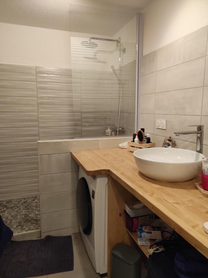 Appartement Vue Montagne, Cosy Et Chaleureux 布里昂松 外观 照片