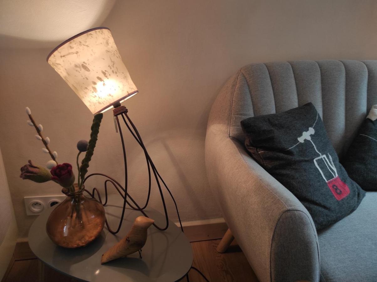 Appartement Vue Montagne, Cosy Et Chaleureux 布里昂松 外观 照片