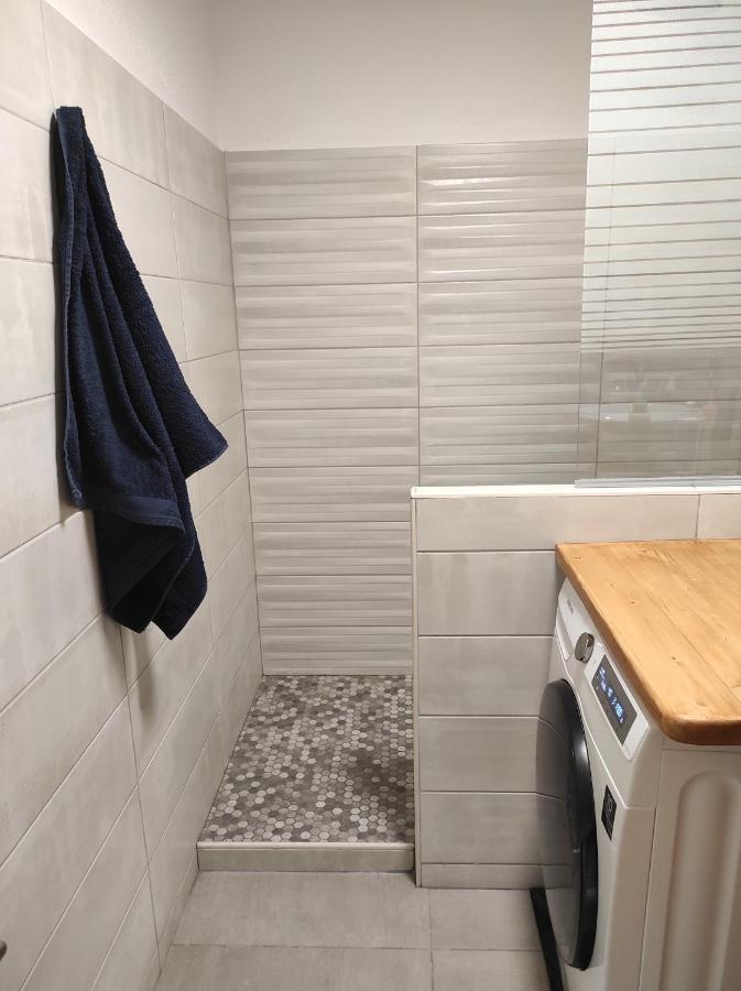 Appartement Vue Montagne, Cosy Et Chaleureux 布里昂松 外观 照片